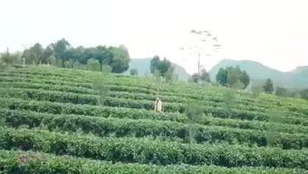 渔乐圈最新爆料消息,最新爆料事件深度解析 第1张 渔乐圈最新爆料消息,最新爆料事件深度解析 第1张