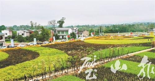 璧山爆料最新新闻,聚焦民生热点，揭秘事件真相  第2张